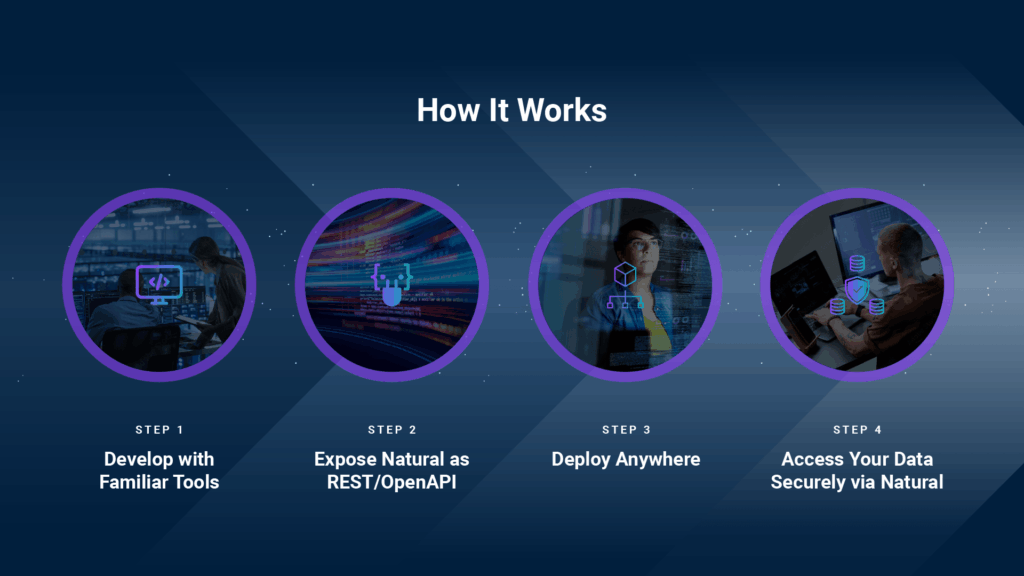 how the Natural API Server works