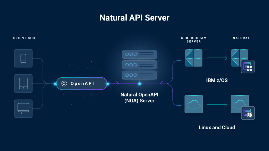 Natural API Server data flow diagram